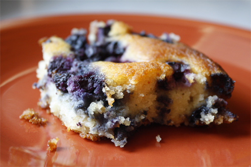 Blueberry Pudding Cake Recipe photo