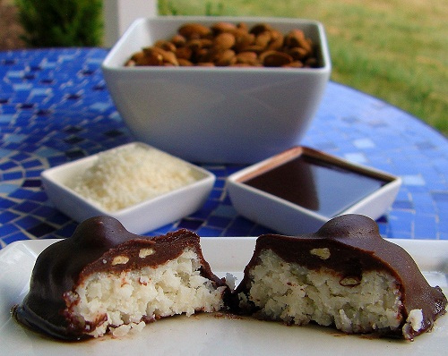 Chocolate Almond Coconut Bites recipe photo