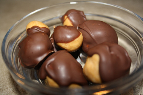 Chocolate Coconut Peanut Butter Balls made with coconut flour recipe photo