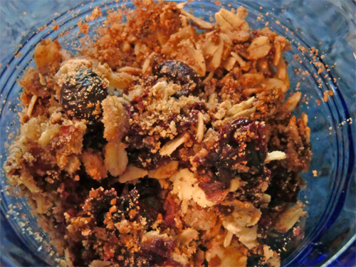 Coconut Flour Blueberry Crisp Recipe photo