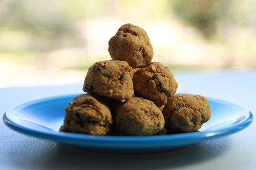 Coconut Flour Oatmeal Raisin Cookie Balls recipe photo