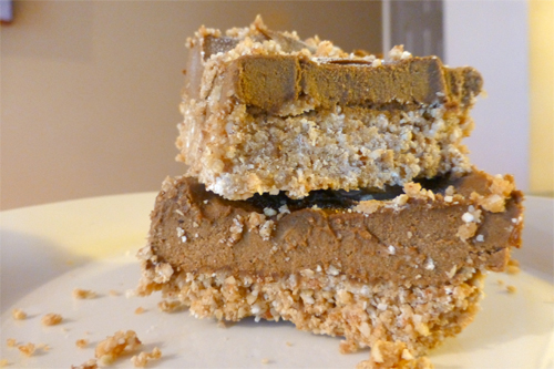 Frozen Chocolate Peanut Butter Bars Recipe photo