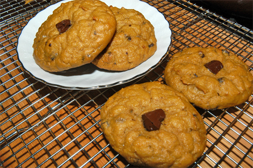 Gluten Free Chocolate Chip Cake Cookies Recipe photo