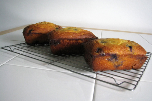 Grain Free Coconut Lemon Blueberry Pound Cake Recipe photo