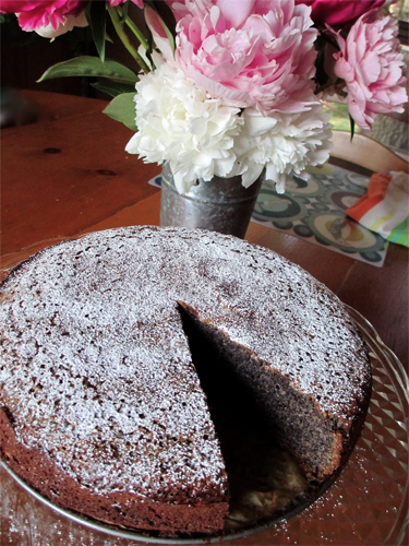 Coconut Chocolate Candy Recipe photo