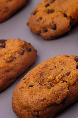 Pumpkin Chocolate Chip Cookies