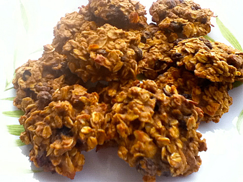 Pumpkin Oatmeal Pecan Raisin Cookies Recipe photo