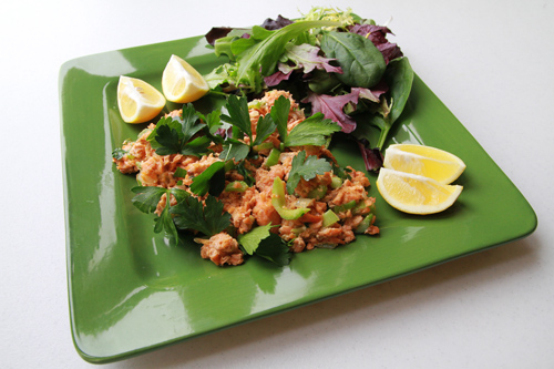 Salmon Coconut Mayonnaise Salad recipe photo