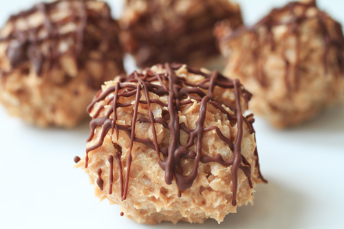 Gluten Free Chocolate Coconut Protein Bites Recipe Photo