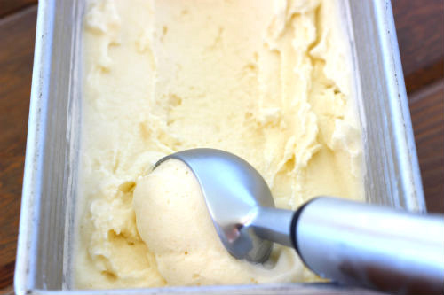 Coconut Milk, Lemon Gelato