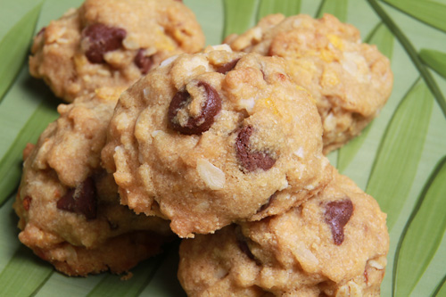 Coconut Dishpan Cookies